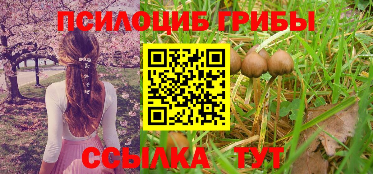 Галлюциногенные грибы MAGIC MUSHROOMS Ноябрьск